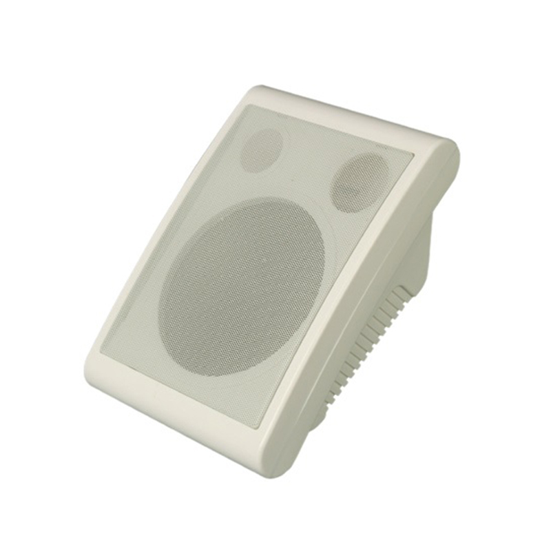 BGM CS430  扩声壁挂音箱